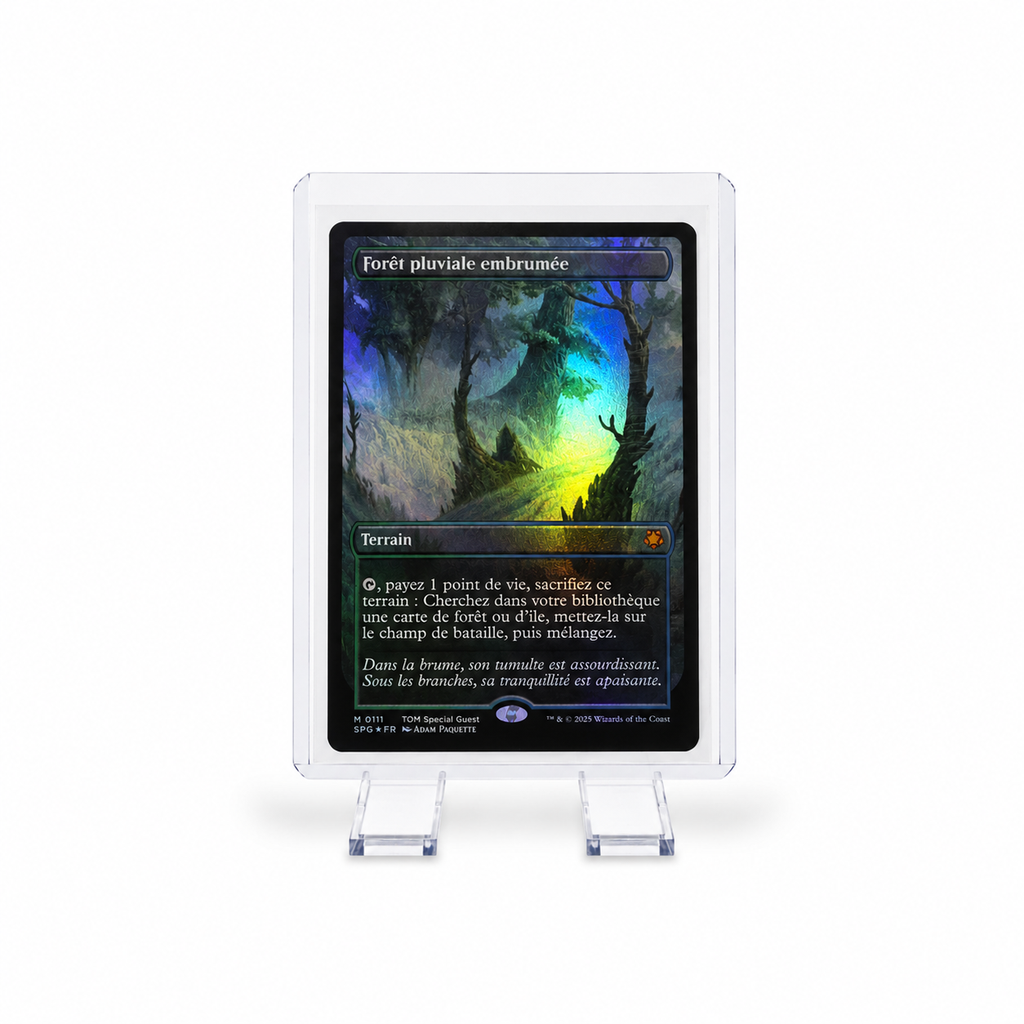 Forêt pluviale embrumée (Borderless Foil) 0111 – Special Guests (SPG) – Magic: The Gathering – FR